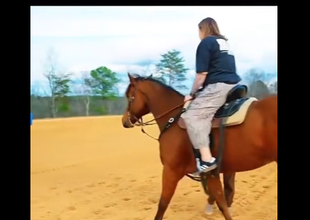 Kailyn Riding Horse
